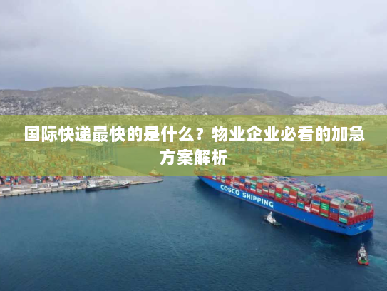 国际快递最快的是什么？物业企业必看的加急方案解析