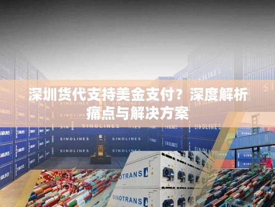 深圳货代支持美金支付？深度解析痛点与解决方案