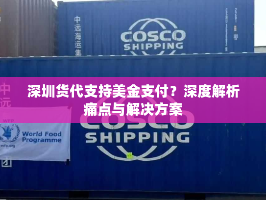 深圳货代支持美金支付？深度解析痛点与解决方案