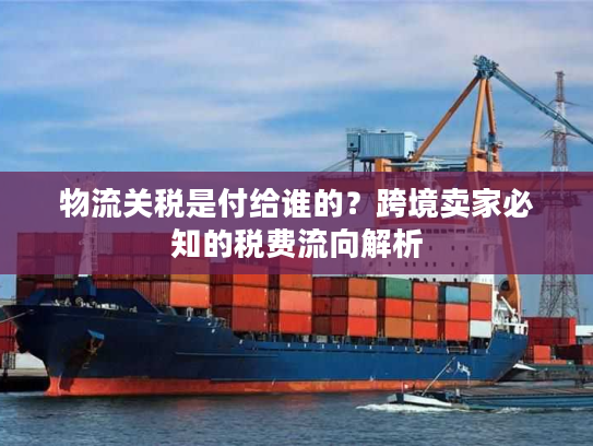 物流关税是付给谁的？跨境卖家必知的税费流向解析