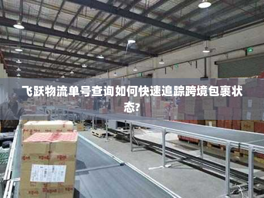 飞跃物流单号查询如何快速追踪跨境包裹状态?