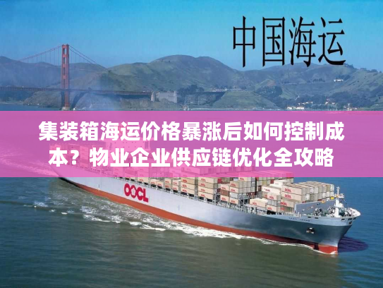 集装箱海运价格暴涨后如何控制成本?物业企业供应链优化全攻略 集装箱海运价格暴涨后如何控制成本?物业企业供应链优化全攻略
