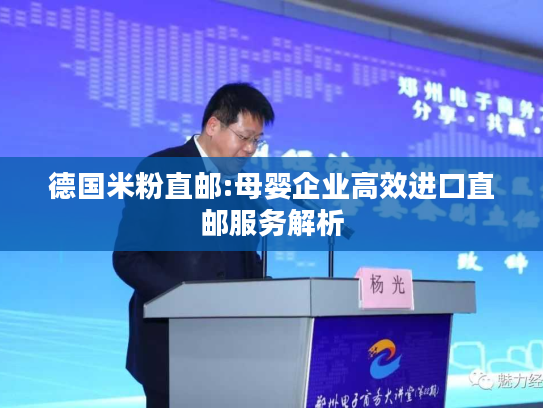 德国米粉直邮:母婴企业高效进口直邮服务解析