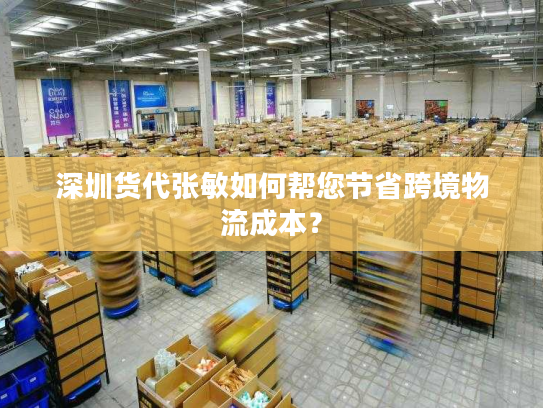 深圳货代张敏如何帮您节省跨境物流成本？