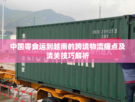 中国零食运到越南的跨境物流痛点及清关技巧解析