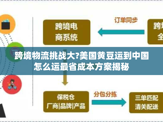 跨境物流挑战大?美国黄豆运到中国怎么运最省成本方案揭秘