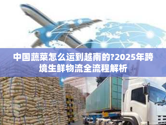 中国蔬菜怎么运到越南的?2025年跨境生鲜物流全流程解析