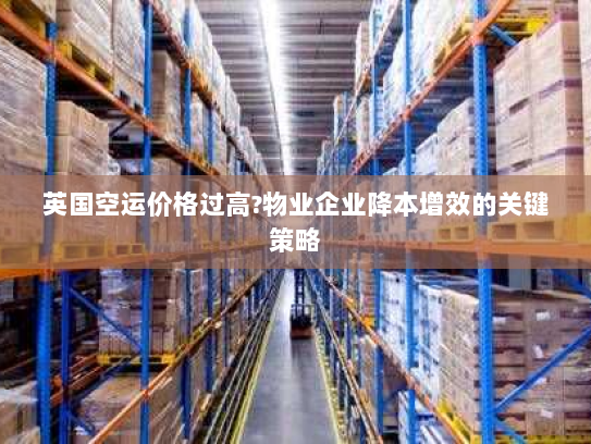 英国空运价格过高?物业企业降本增效的关键策略