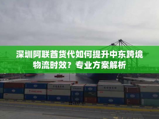 深圳阿联酋货代如何提升中东跨境物流时效？专业方案解析