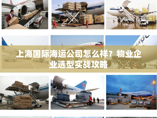 上海国际海运公司怎么样？物业企业选型实战攻略