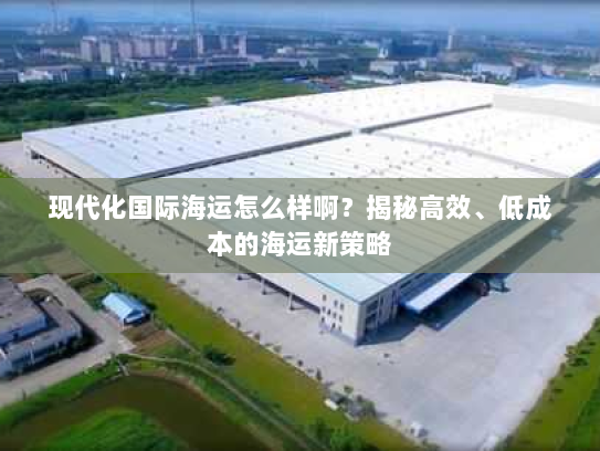 现代化国际海运怎么样啊？揭秘高效、低成本的海运新策略