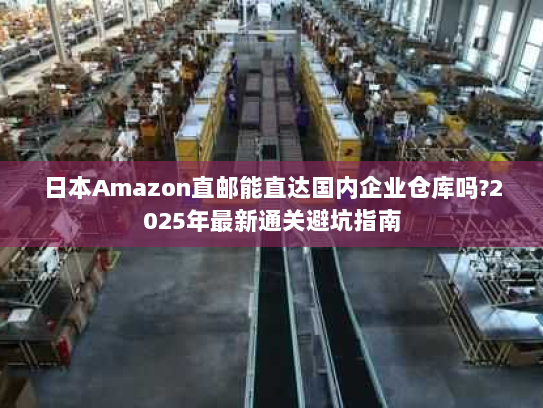 日本Amazon直邮能直达国内企业仓库吗?2025年最新通关避坑指南