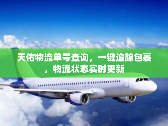 天佑物流单号查询,一键追踪包裹,物流状态实时更新 天佑物流单号查询,一键追踪包裹,物流状态实时更新