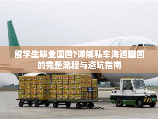留学生毕业回国?详解私车海运回国的完整流程与避坑指南