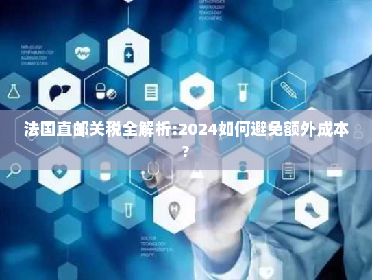 法国直邮关税全解析:2024如何避免额外成本? 法国直邮关税全解析:2024如何避免额外成本?