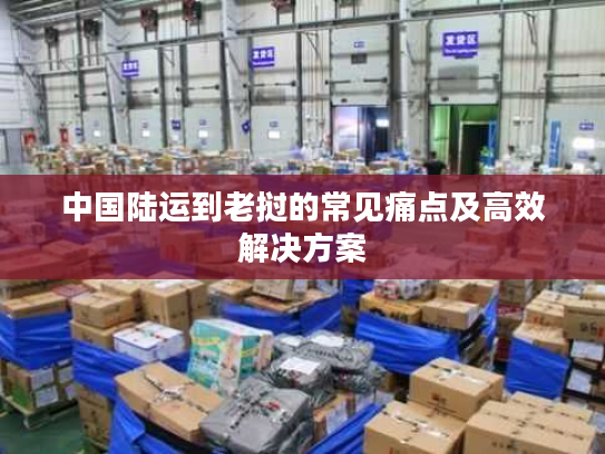 中国陆运到老挝的常见痛点及高效解决方案