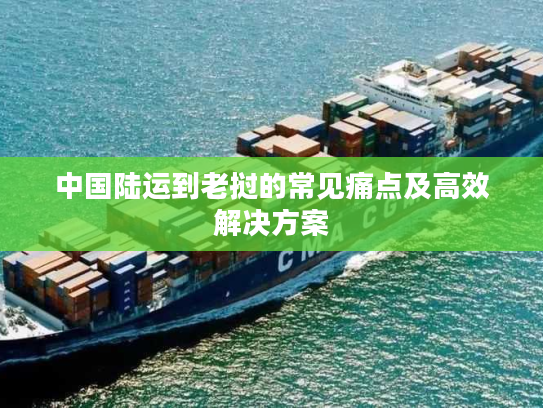 中国陆运到老挝的常见痛点及高效解决方案