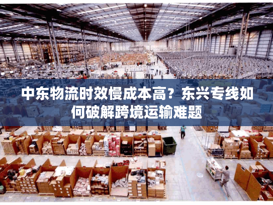 中东物流时效慢成本高？东兴专线如何破解跨境运输难题