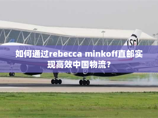 如何通过rebecca minkoff直邮实现高效中国物流？