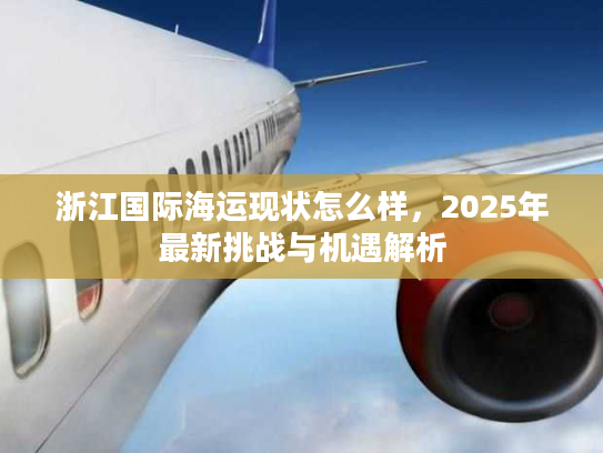 浙江国际海运现状怎么样，2025年最新挑战与机遇解析