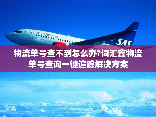 物流单号查不到怎么办?词汇鑫物流单号查询一键追踪解决方案 物流单号查不到怎么办?词汇鑫物流单号查询一键追踪解决方案