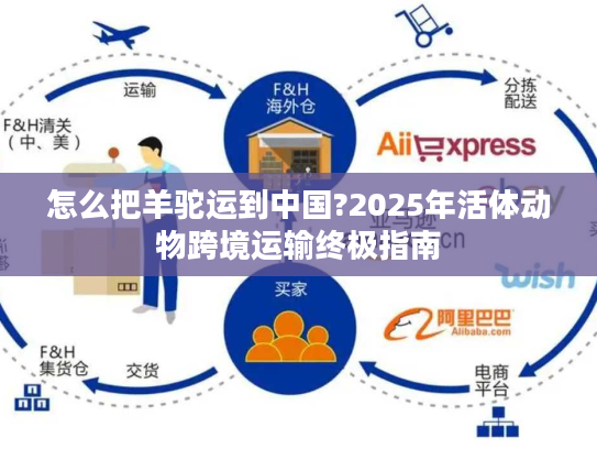 怎么把羊驼运到中国?2025年活体动物跨境运输终极指南 怎么把羊驼运到中国?2025年活体动物跨境运输终极指南