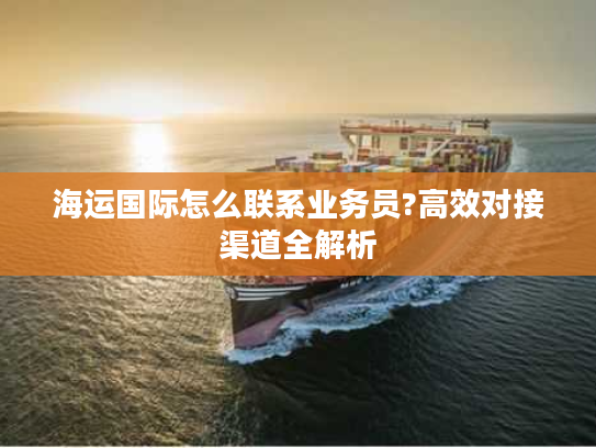 海运国际怎么联系业务员?高效对接渠道全解析