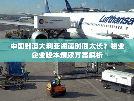 中国到澳大利亚海运时间太长？物业企业降本增效方案解析