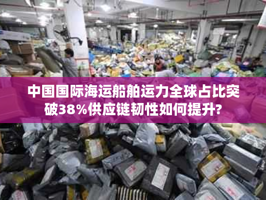 中国国际海运船舶运力全球占比突破38%供应链韧性如何提升?