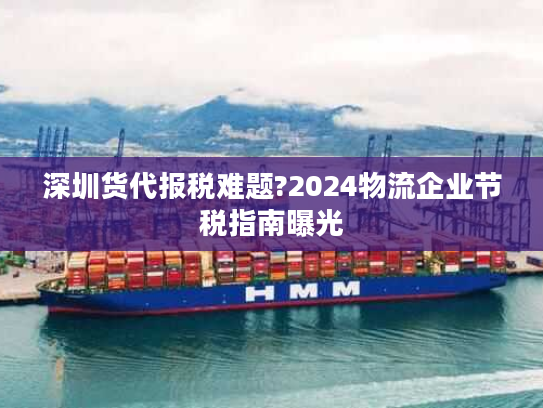深圳货代报税难题?2024物流企业节税指南曝光 深圳货代报税难题?2024物流企业节税指南曝光