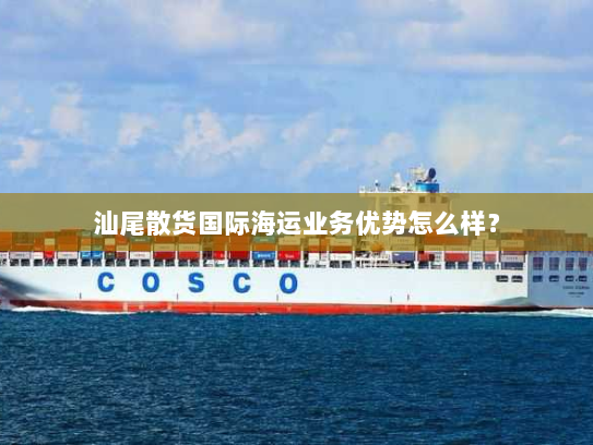 汕尾散货国际海运业务优势怎么样？