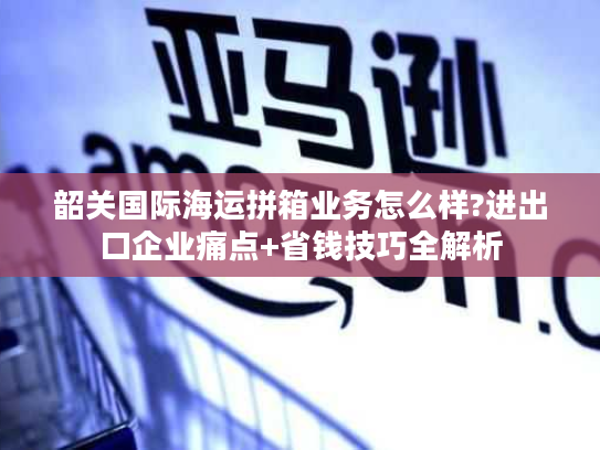 韶关国际海运拼箱业务怎么样?进出口企业痛点+省钱技巧全解析