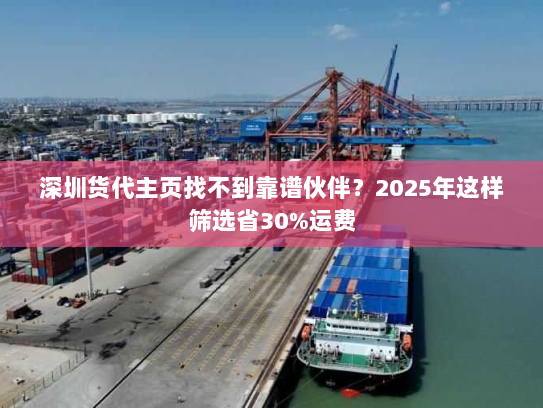 深圳货代主页找不到靠谱伙伴?2025年这样筛选省30%运费 深圳货代主页找不到靠谱伙伴?2025年这样筛选省30%运费