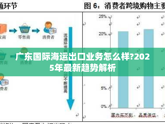 广东国际海运出口业务怎么样?2025年最新趋势解析