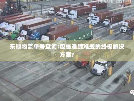 东顺物流单号查询:包裹追踪难题的终极解决方案?