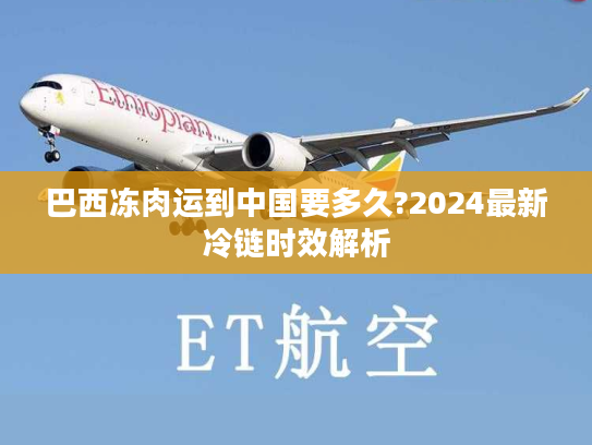 巴西冻肉运到中国要多久?2024最新冷链时效解析