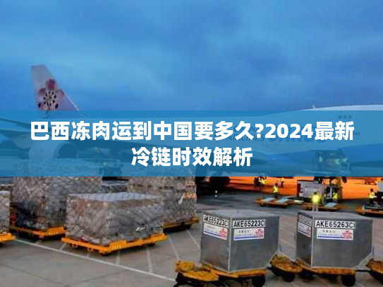 巴西冻肉运到中国要多久?2024最新冷链时效解析