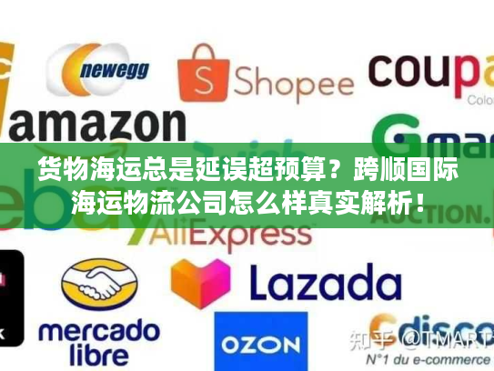 货物海运总是延误超预算？跨顺国际海运物流公司怎么样真实解析！