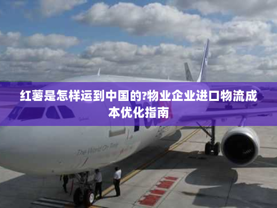 红薯是怎样运到中国的?物业企业进口物流成本优化指南