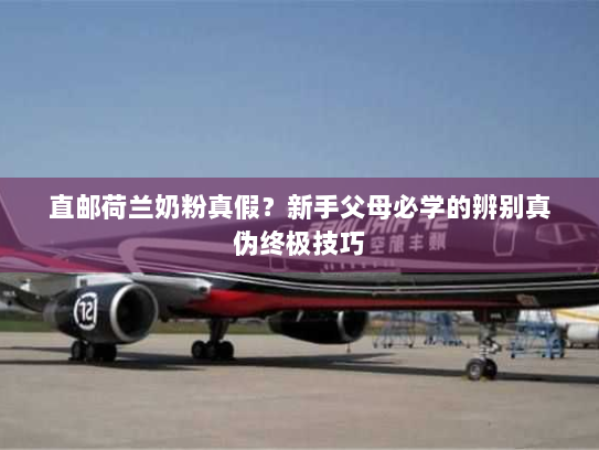 直邮荷兰奶粉真假？新手父母必学的辨别真伪终极技巧