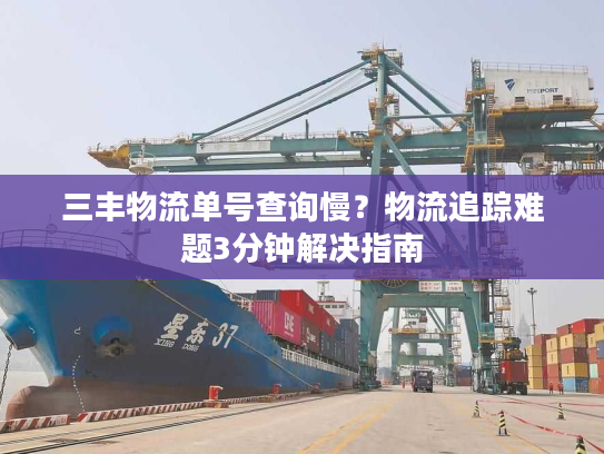 三丰物流单号查询慢？物流追踪难题3分钟解决指南