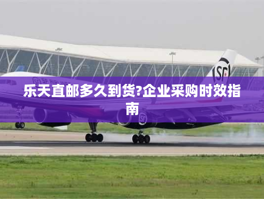 乐天直邮多久到货?企业采购时效指南
