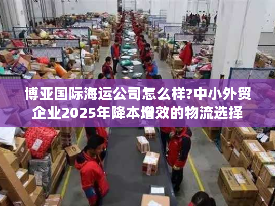 博亚国际海运公司怎么样?中小外贸企业2025年降本增效的物流选择 博亚国际海运公司怎么样?中小外贸企业2025年降本增效的物流选择