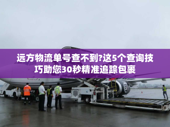 远方物流单号查不到?这5个查询技巧助您30秒精准追踪包裹