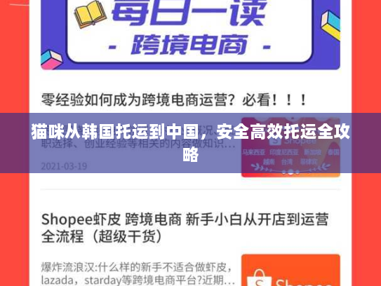 猫咪从韩国托运到中国，安全高效托运全攻略