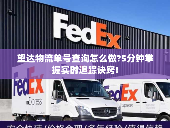 望达物流单号查询怎么做?5分钟掌握实时追踪诀窍!