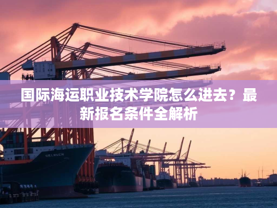 国际海运职业技术学院怎么进去？最新报名条件全解析