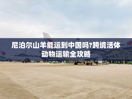 尼泊尔山羊能运到中国吗?跨境活体动物运输全攻略 尼泊尔山羊能运到中国吗?跨境活体动物运输全攻略