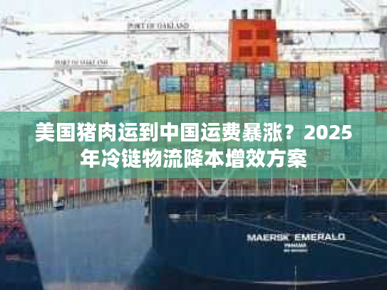 美国猪肉运到中国运费暴涨？2025年冷链物流降本增效方案