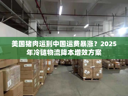 美国猪肉运到中国运费暴涨？2025年冷链物流降本增效方案